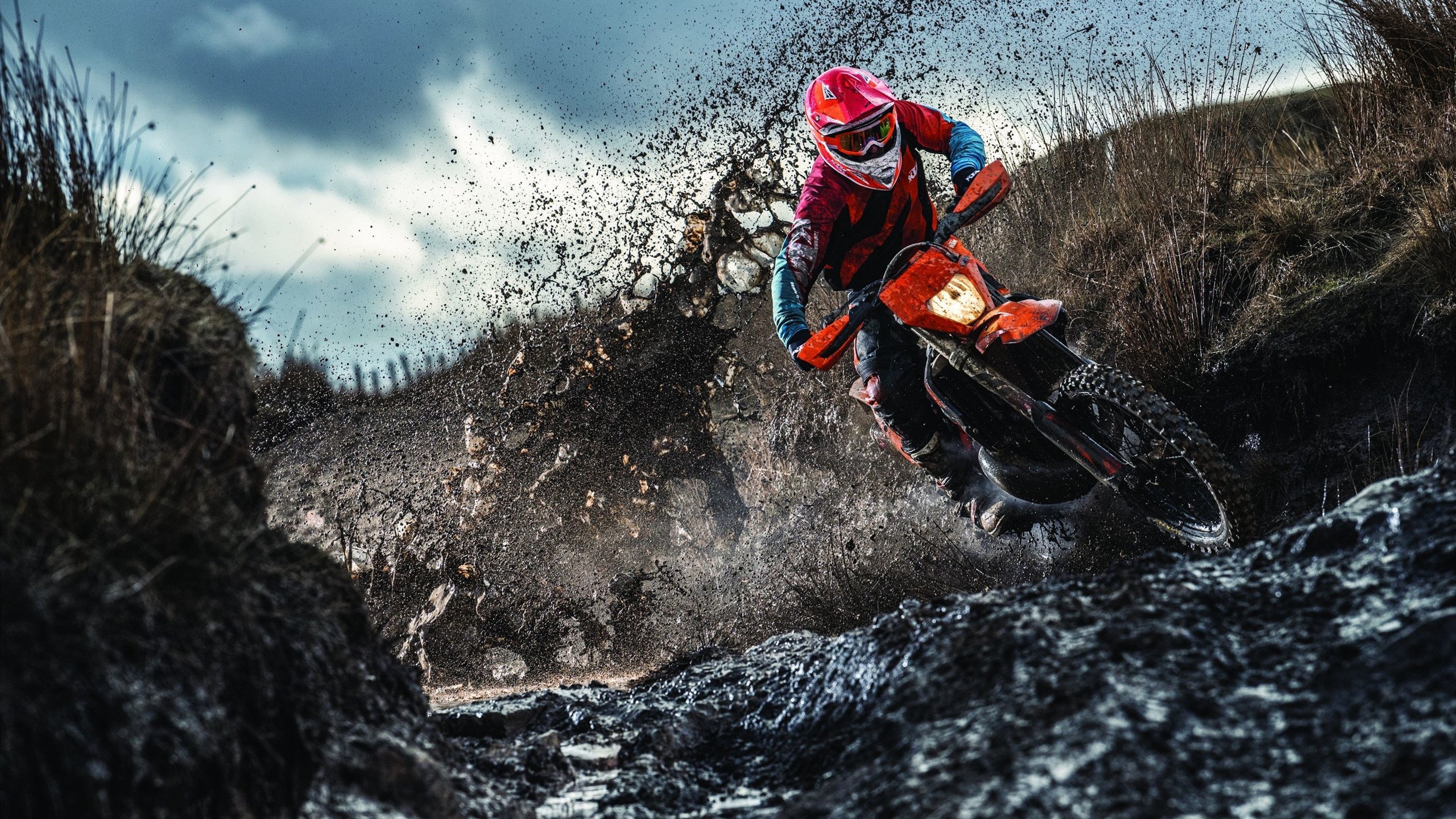 曼联挖到宝！23岁新援成福将，曼联 新援