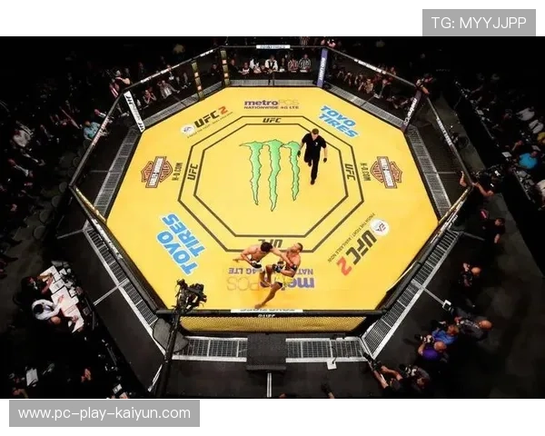 格斗赛事：UFC顶级对决，火药味十足！，ufc最火爆打法