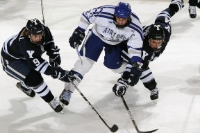 kaiyun网站-体育场馆数字化管理体系，体育场馆智能化系统